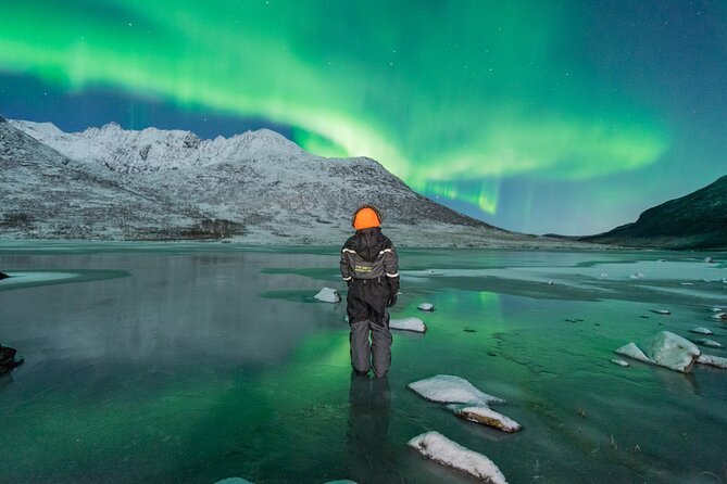 Northern Lights Expedition, showing the Aurora Borealis over a snowy landscape